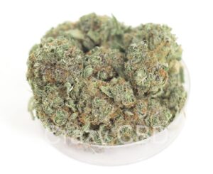 0% THC AMNESIA