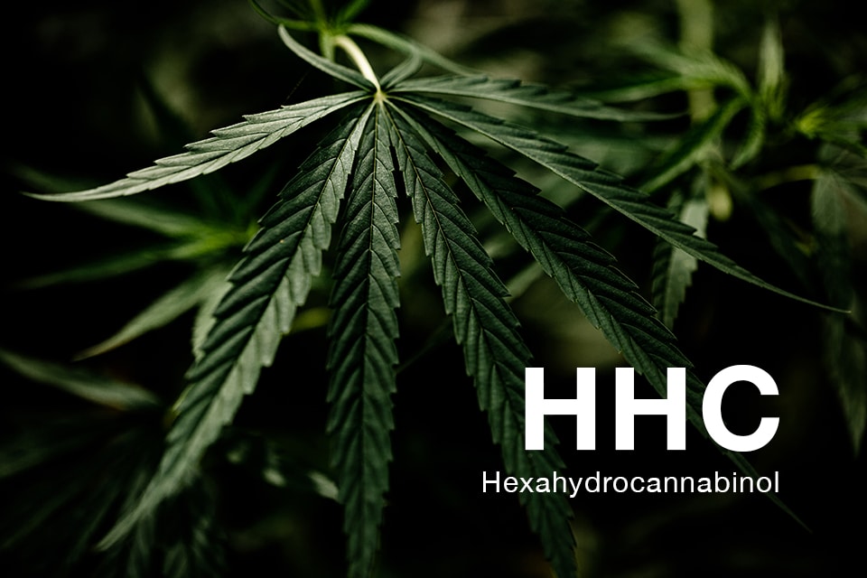 HHC : un cannabinoïde dangereux pour la santé !