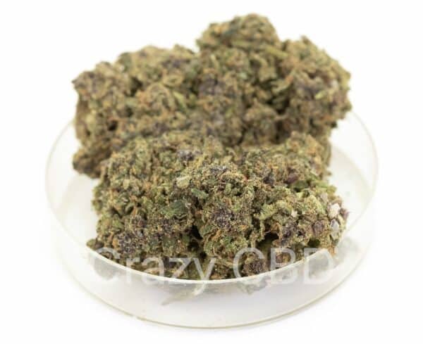 PURPLE HAZE 10-OH-HHC