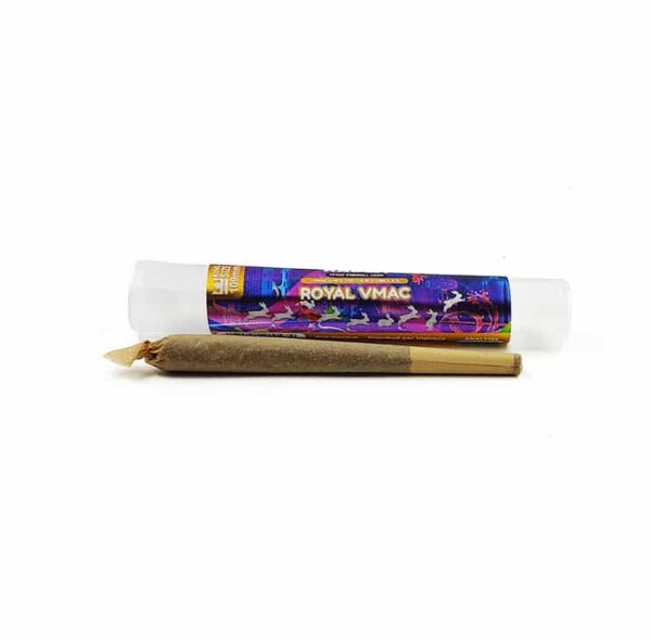 WHITE RABBIT - PRE-ROLL VMAC ROYAL