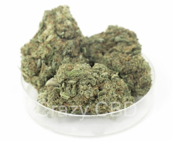 FLEUR HPC CALIFORNIA