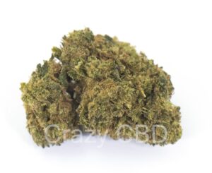 HPC 40% MIMOSA