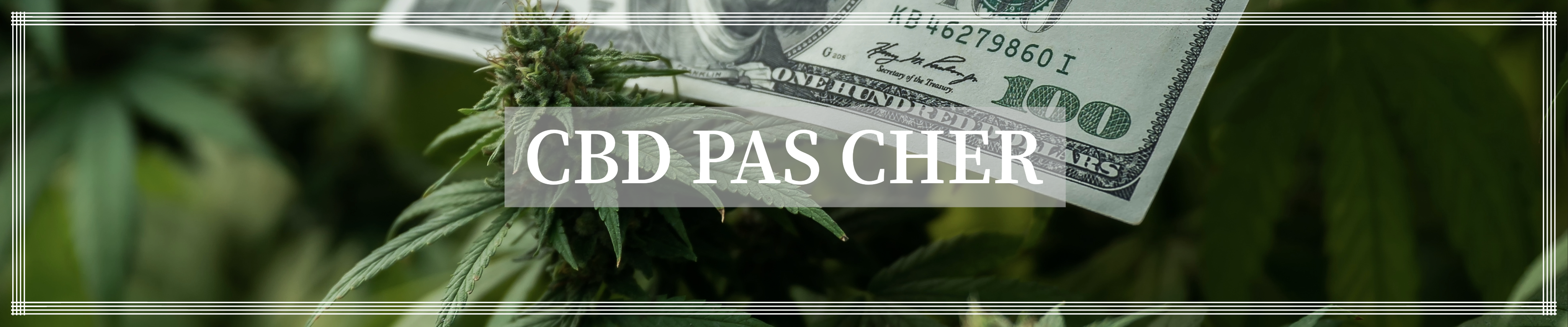CBD PAS CHER crazy cbd