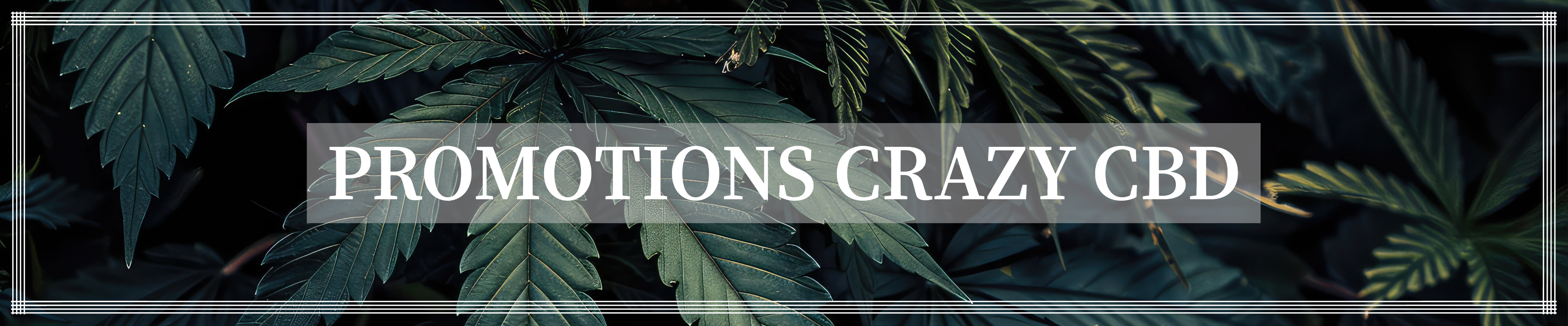 PROMOTION crazy cbd