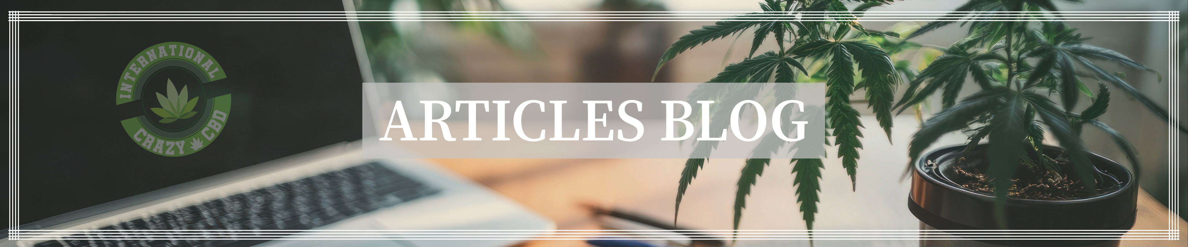 blog crazy cbd