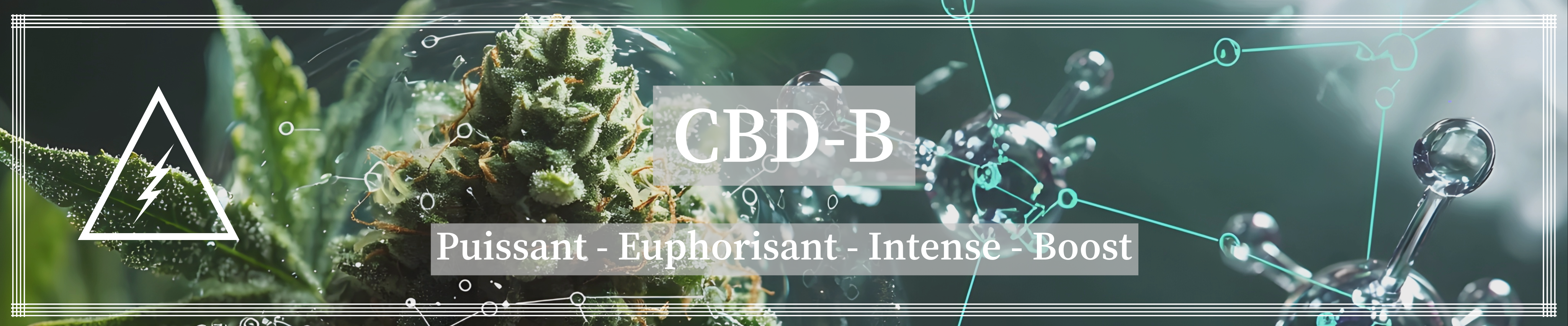cbd-b crazy cbd