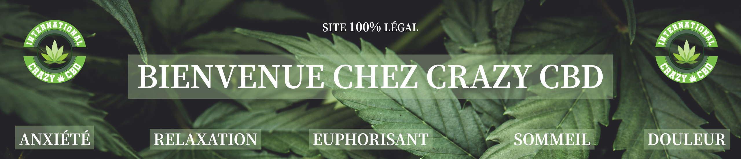 CRAZY CBD ACCUEIL