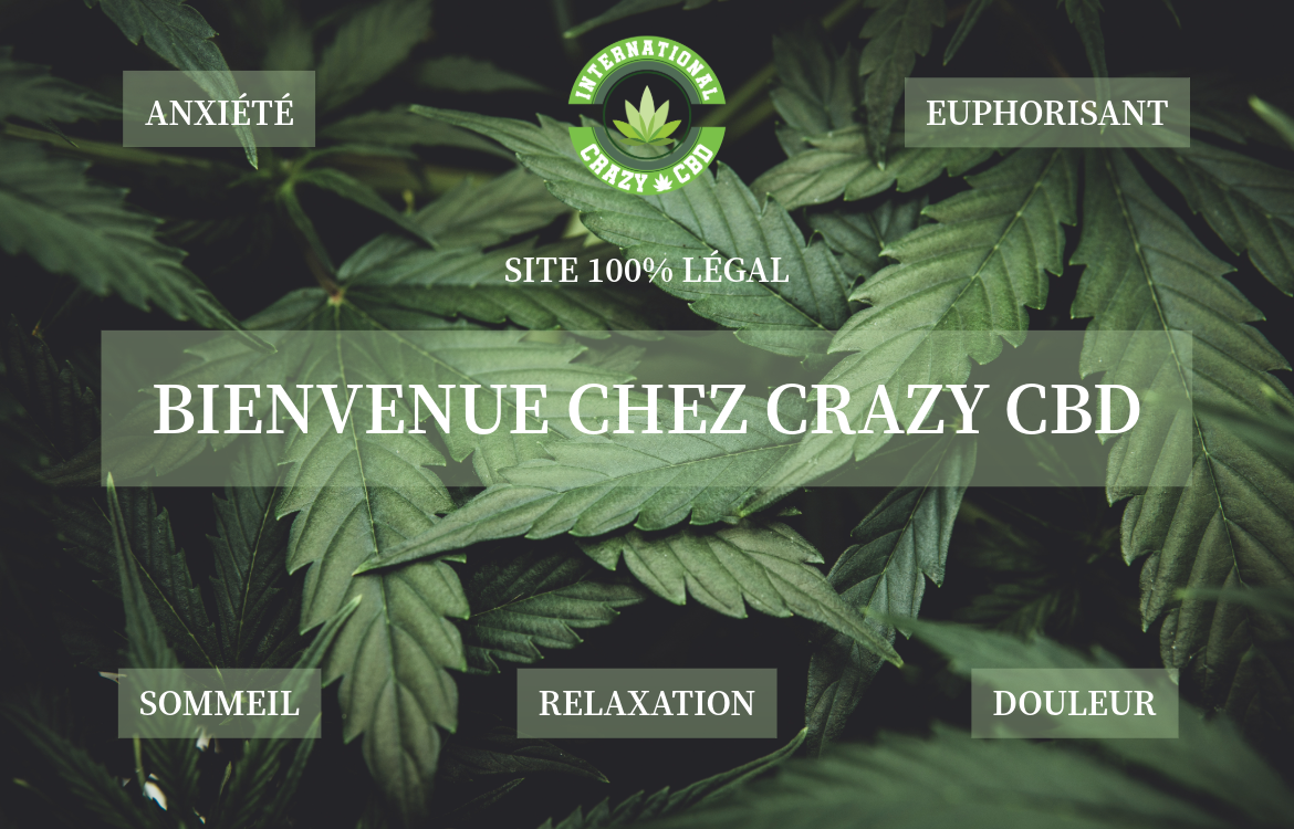CRAZY CBD TEL