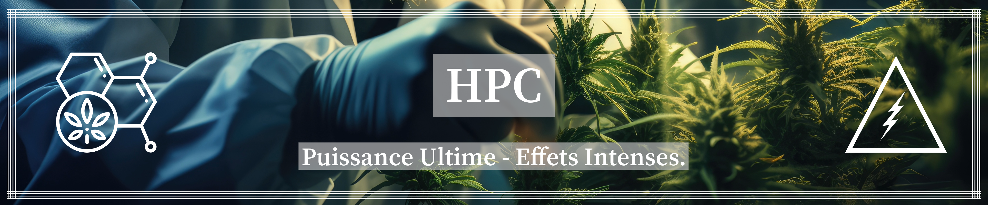 hpc crazy cbd