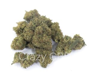 hpc strawberry small bud