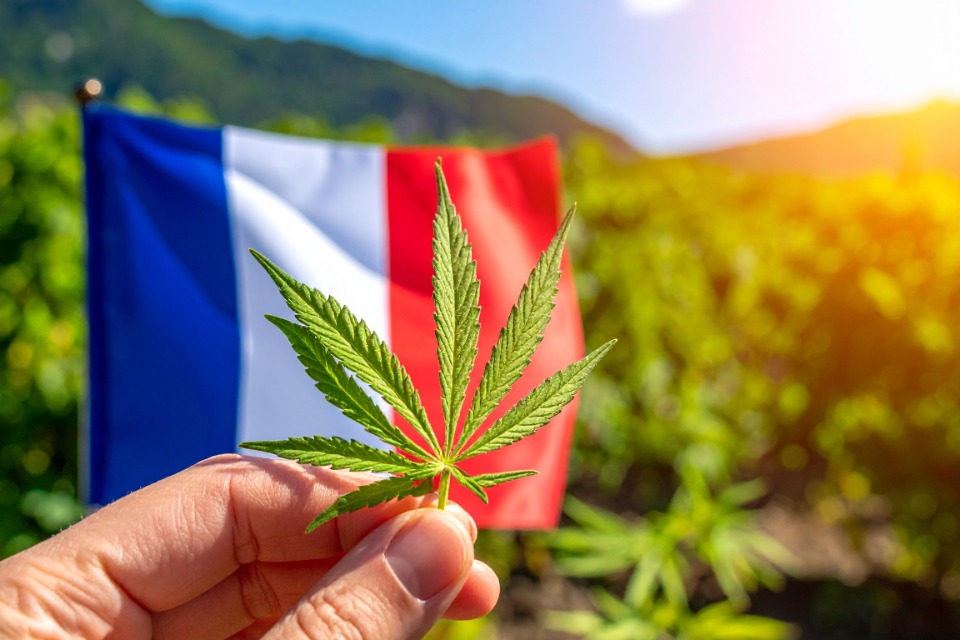 cbd sans thc 0%