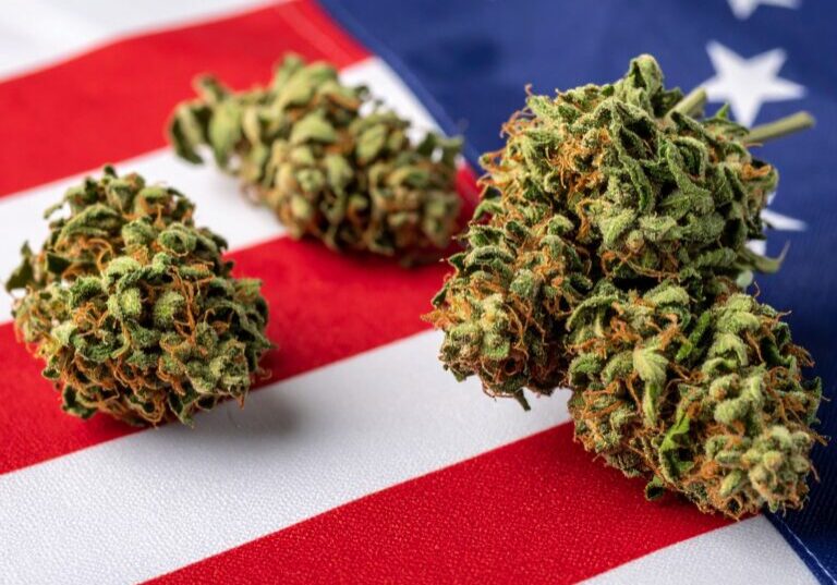 BLOG CBD USA