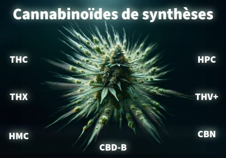 cannabinoïde de synthèse